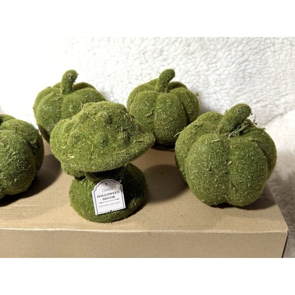Set of 5 Faux Moss Halloween Decorative Pumpkins & Mushrooms Bullseye NEW - Picture 4 of 4